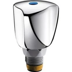 DELABIE Tête Universelle à Clapet Chromée Avec Croisillon Laiton 15x21 G370015