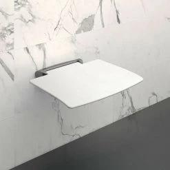 DELABIE Siege De Douche Rabattable Amovible | Blanc Mat