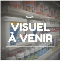 DELABIE Patere Virgule D62x65 Nylon