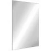 DELABIE Miroir De Toilette Inox Poli Incassable Rectangulaire 10x595x980
