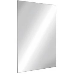 DELABIE Miroir De Toilette Inox Poli Incassable Rectangulaire 10x595x980